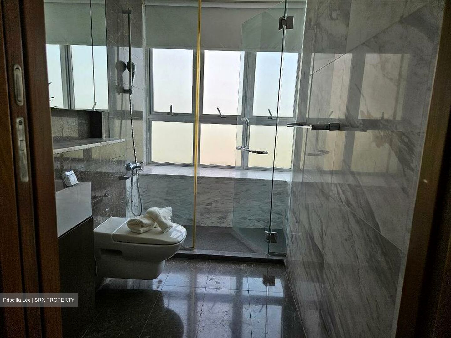 The Parc Condominium (D5), Condominium #498003461